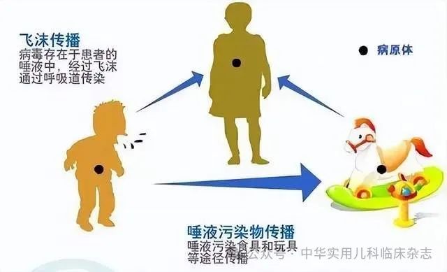 腺病毒是如何传播的